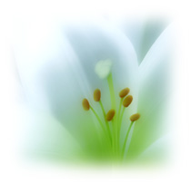92